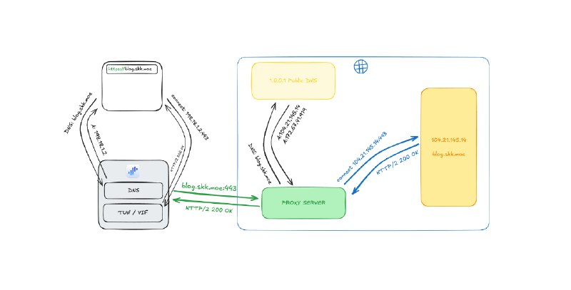 是什么，为什么，怎么做 —— 谈谈 DNS 泄漏、CDN 访问优化与 Fake IP | Sukka's Blog