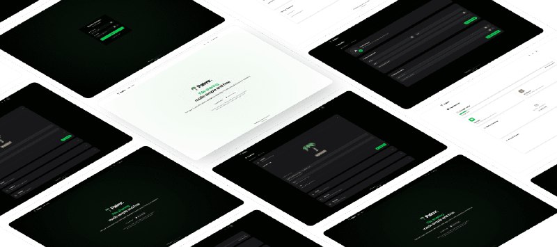 👉 名称：Palmr
