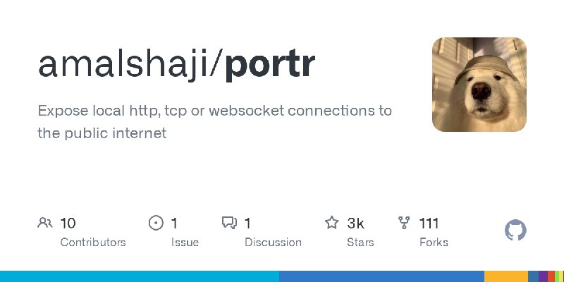GitHub - amalshaji/portr: Expose local http, tcp or websocket connections to the public internet