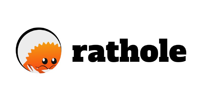 GitHub - rathole-org/rathole: A lightweight and high-performance reverse proxy for NAT traversal, written in Rust. An alternative…