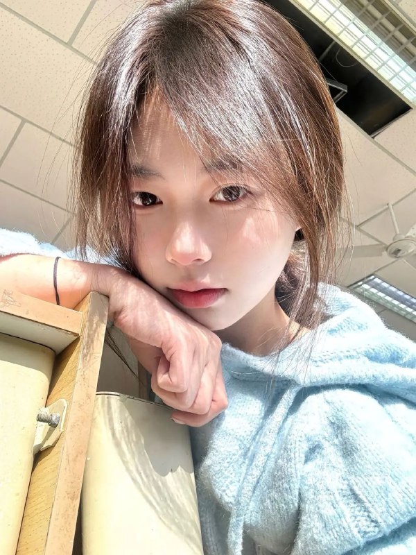 那天太阳很美，我又看到了我的白月光那天太阳很美，我又看到了我的白月光