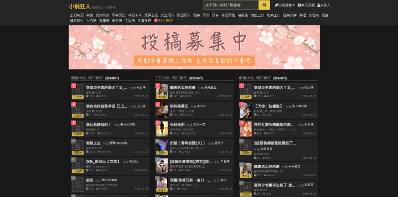 #小说 